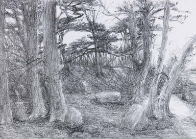 Ellen Luise WEISE, "Wald", Bleistift auf Papier (2017)